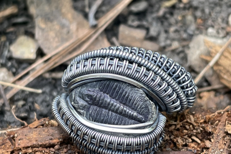 Trilobite Sterling Silver Oxidized Ring Size 10-10.5
