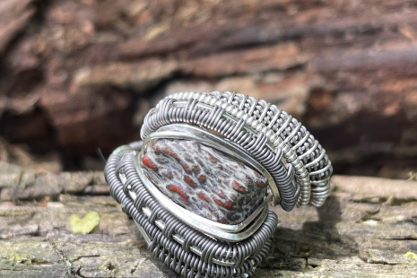 Fossilized Dinosaur Bone Titanium with Sterling Silver Ring Size 10