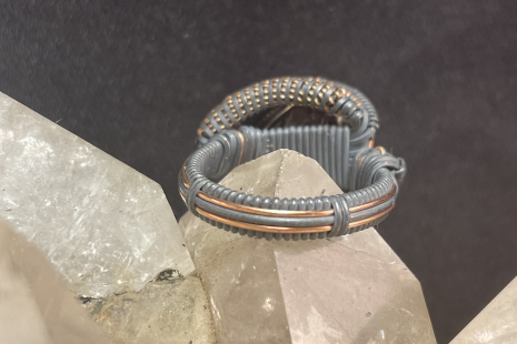 Fossilized Dinosaur Bone Sterling Silver w/Rose Gold Ring Size 8