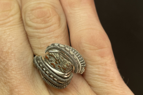 Fossilized Dinosaur Bone Titanium with Sterling Silver Ring Size 10