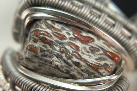 Fossilized Dinosaur Bone Titanium with Sterling Silver Ring Size 10