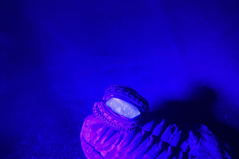 Rogerley Fluorite Oxidized Sterling Silver Ring Size 8