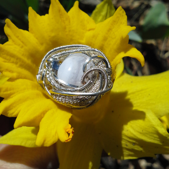 20150405_141237.jpg